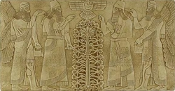 ccc